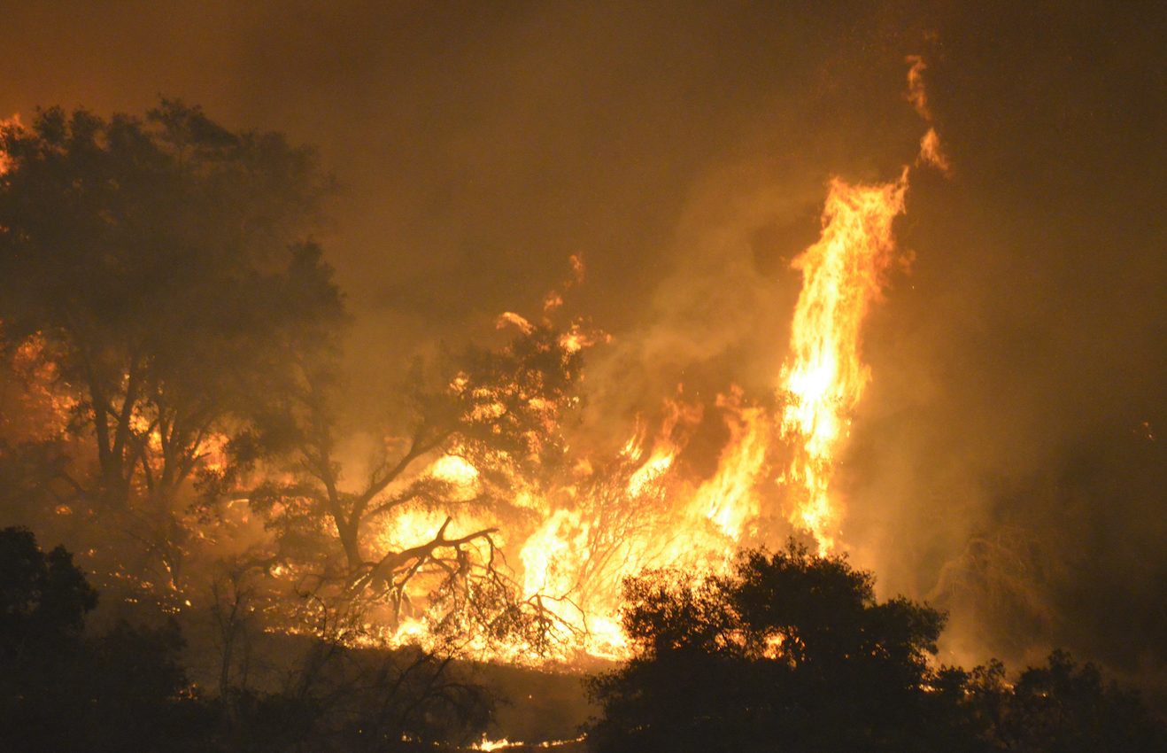 Wildfire ash traps mercury and keeps it in a non-reactive form