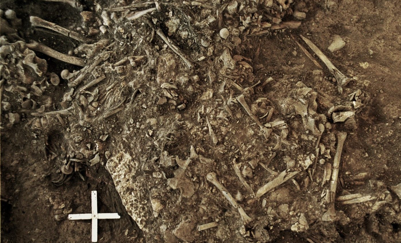 Oldest known plague may have caused decline of Neolithic Europeans