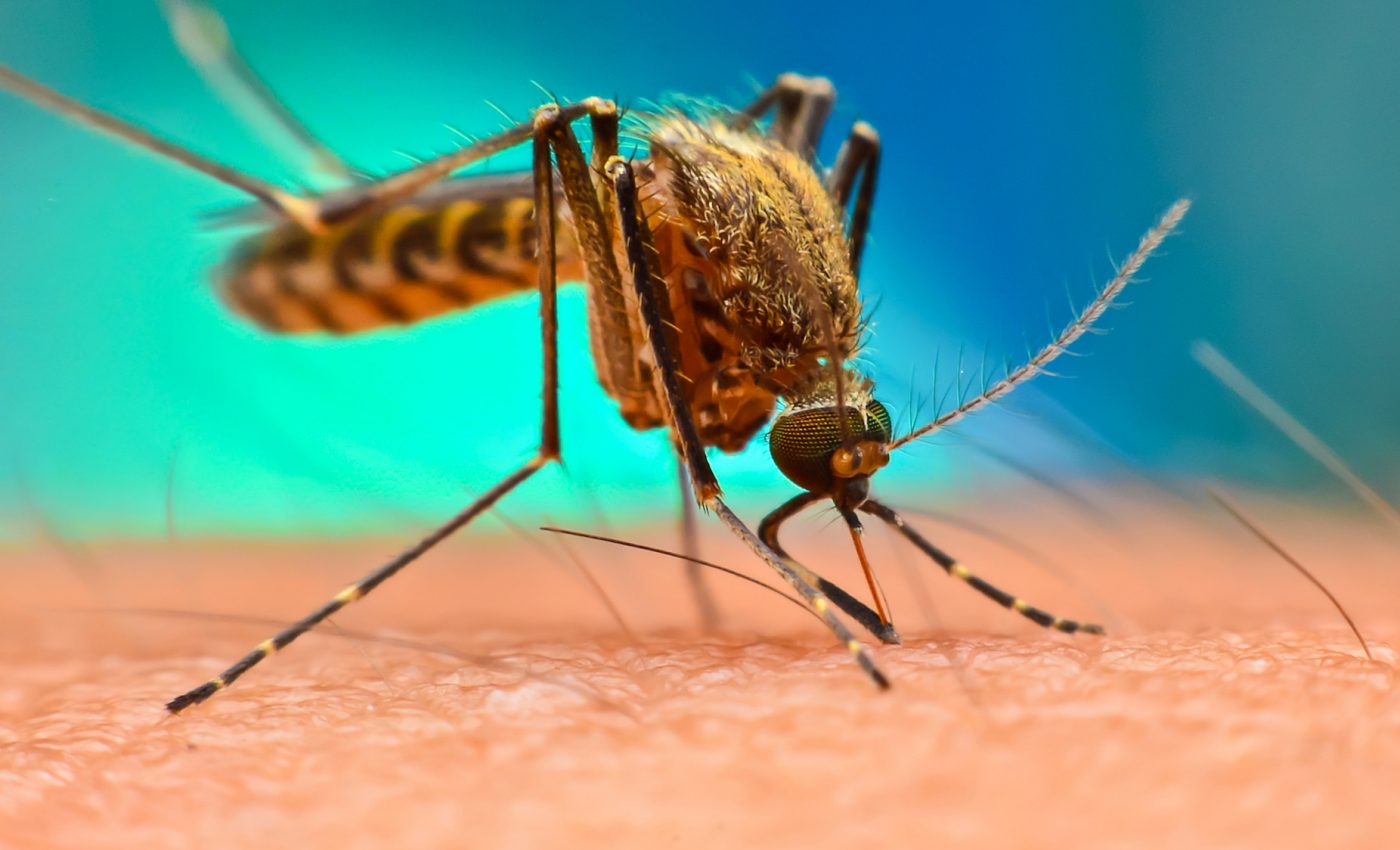 A new breakthrough malaria prevention drug is just around the corner