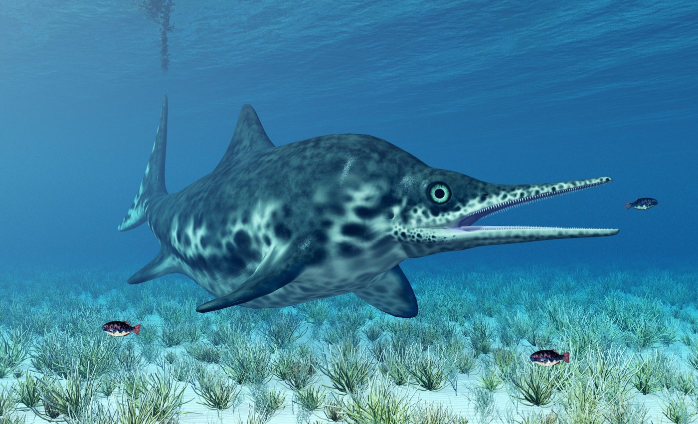 Extinct marine reptiles known as ichthyosaurs were warm-blooded