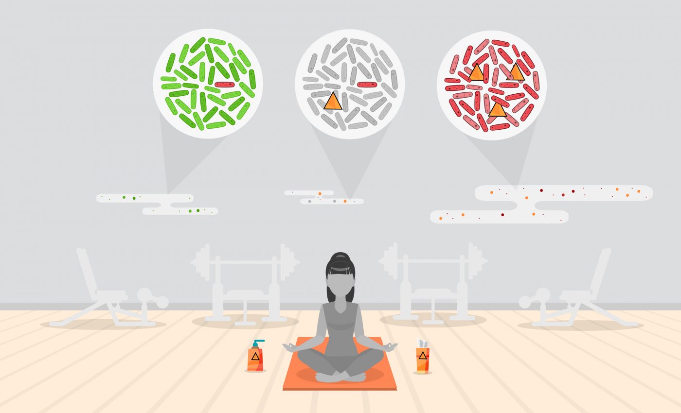 Antibiotic-resistant organisms detected in everyday dust