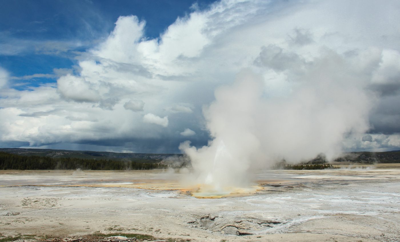 Yellowstone geyser breaks record for most eruptions in a year
