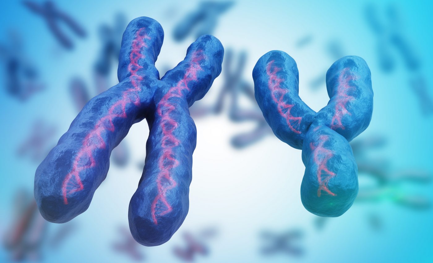 Sex chromosome may explain why women generally outlive men