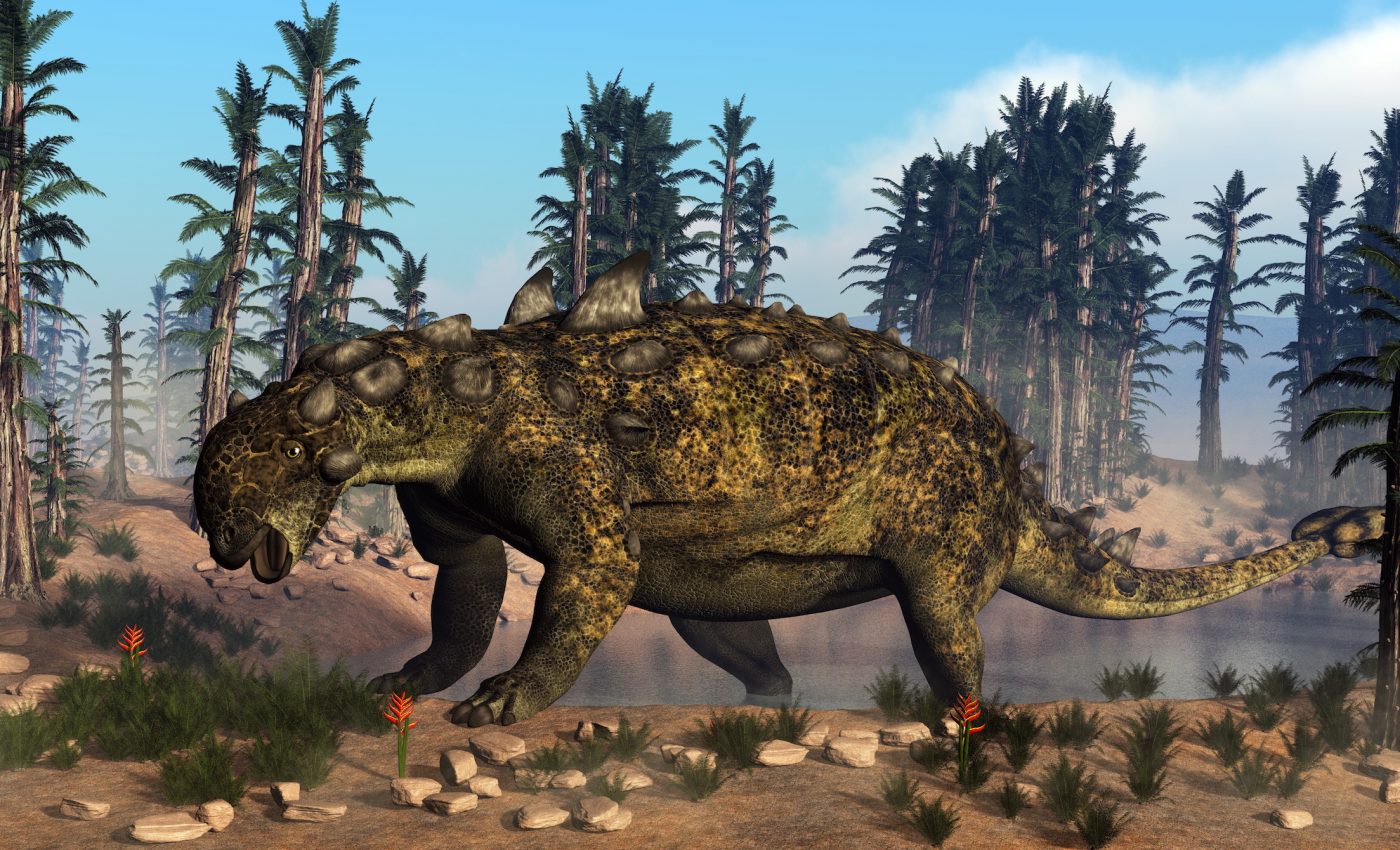 Dinosaurs had special nasal passages that helped them cool off