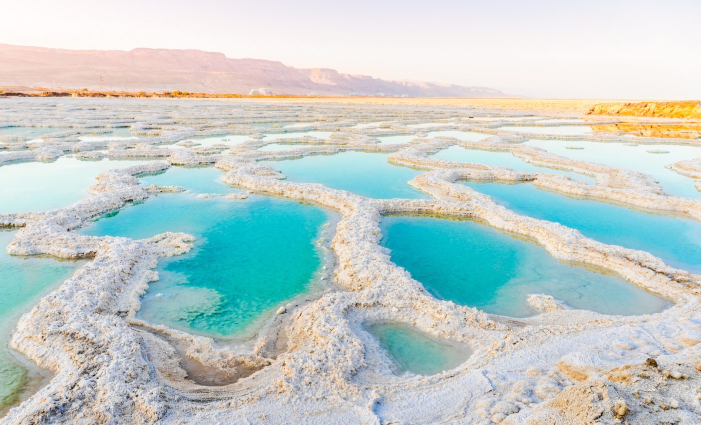 “Hidden cradle” of early plant evolution found in present-day Jordan