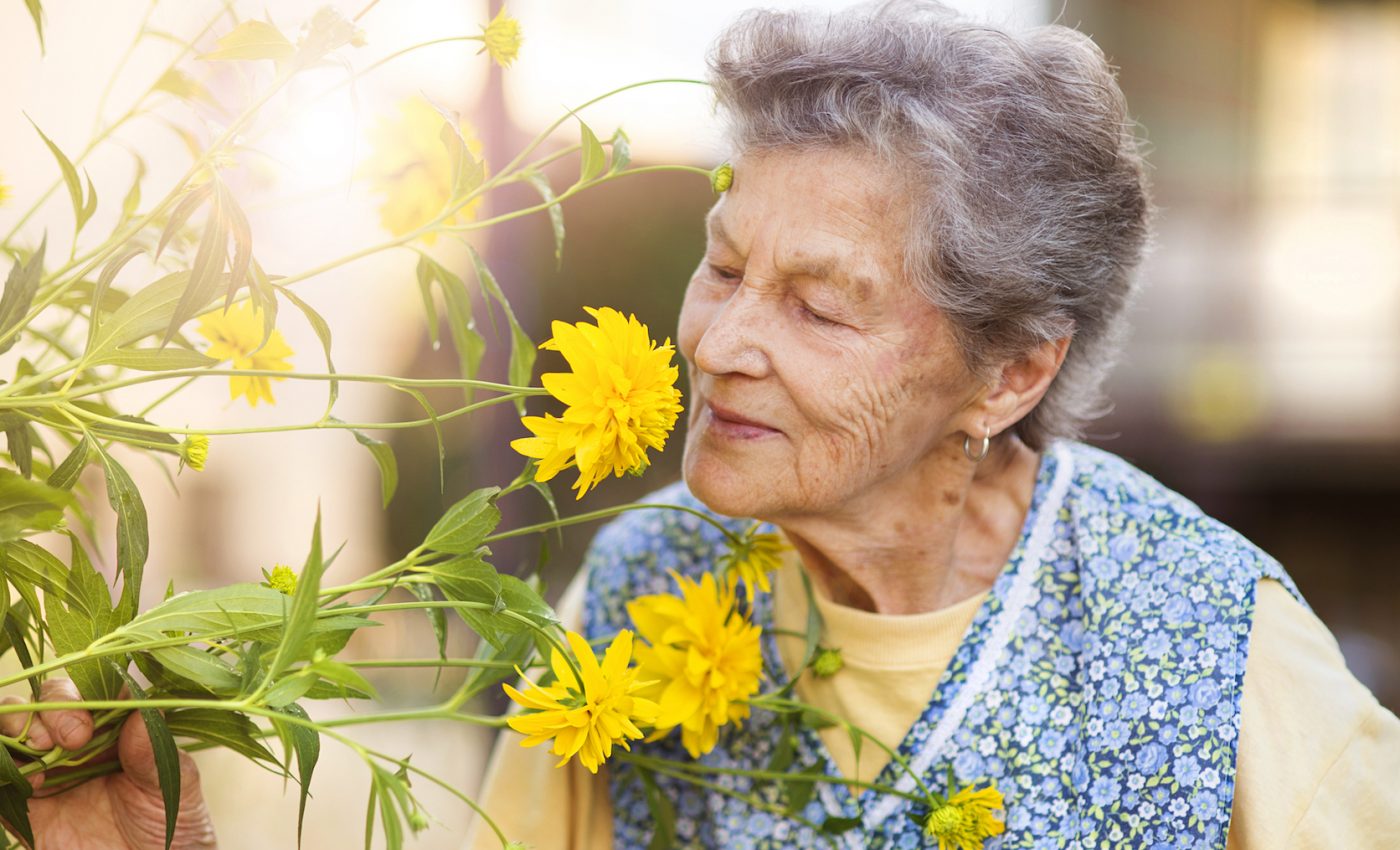 Why people’s sense of smell deteriorates with age