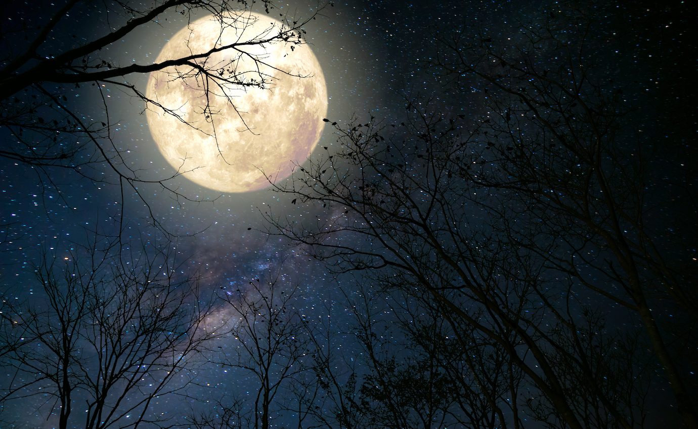 A full moon and a meteor shower will light up the solstice sky