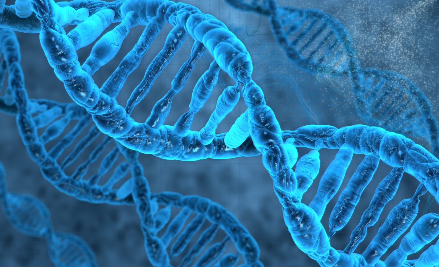 6,000 year old chewing gum contains DNA clues from an ancient woman