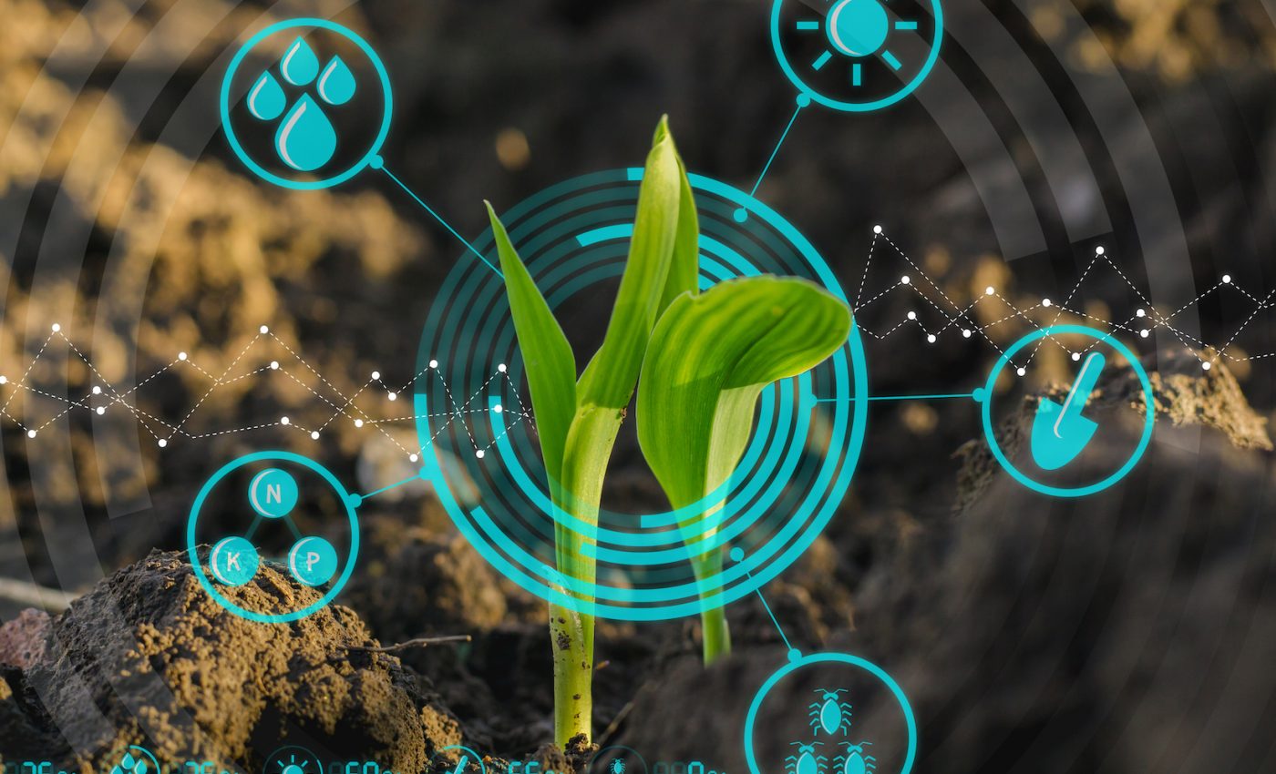 Why the agricultural tech revolution needs responsible innovation