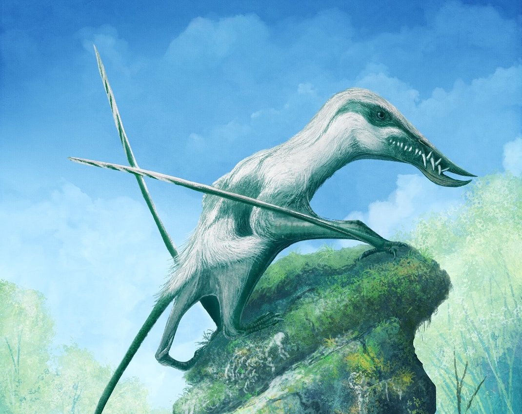 A fresh look at old fossils reveals Britain’s Jurassic past