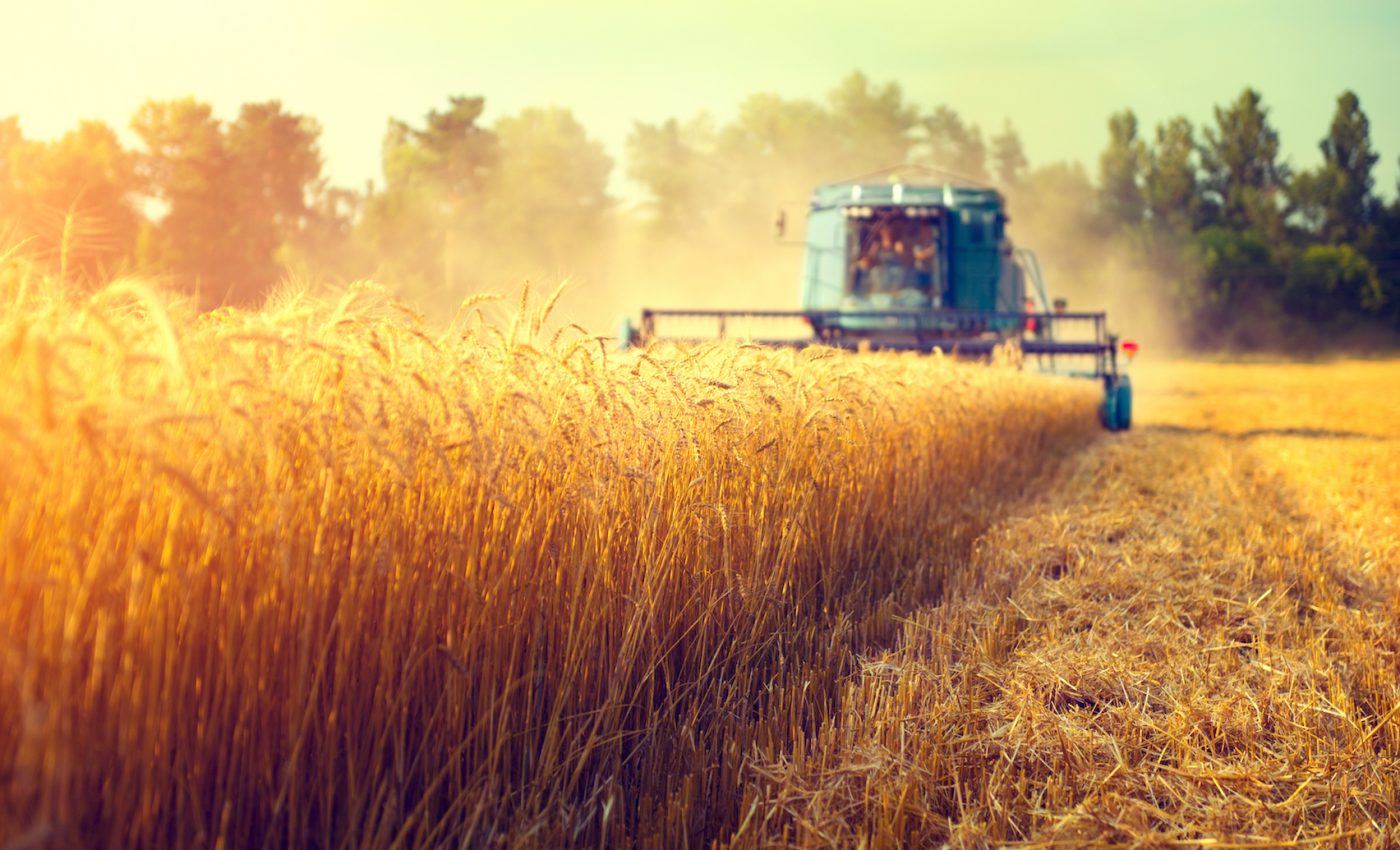 How climate change will impact food security