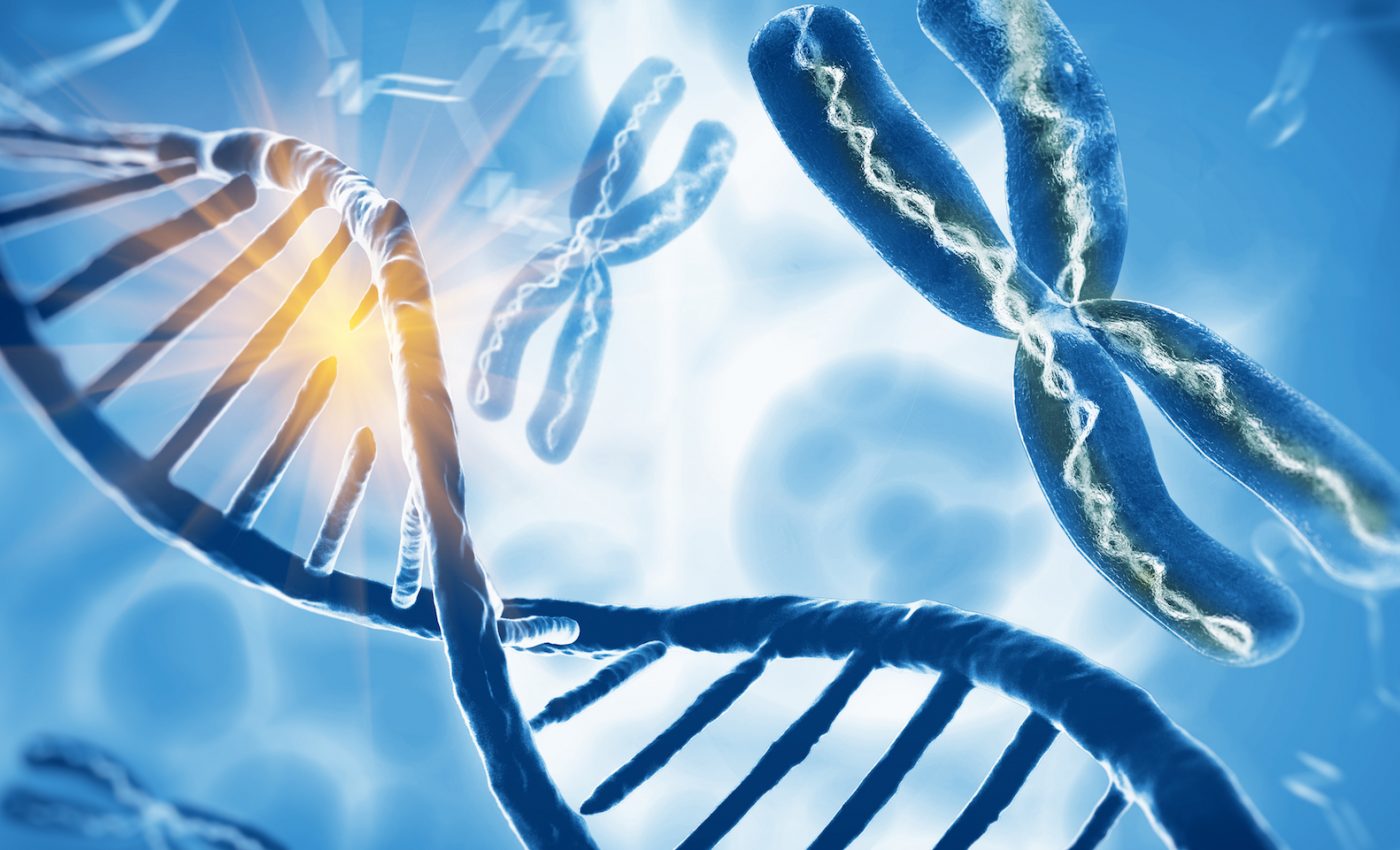 The difference between two species comes down to selfish genes