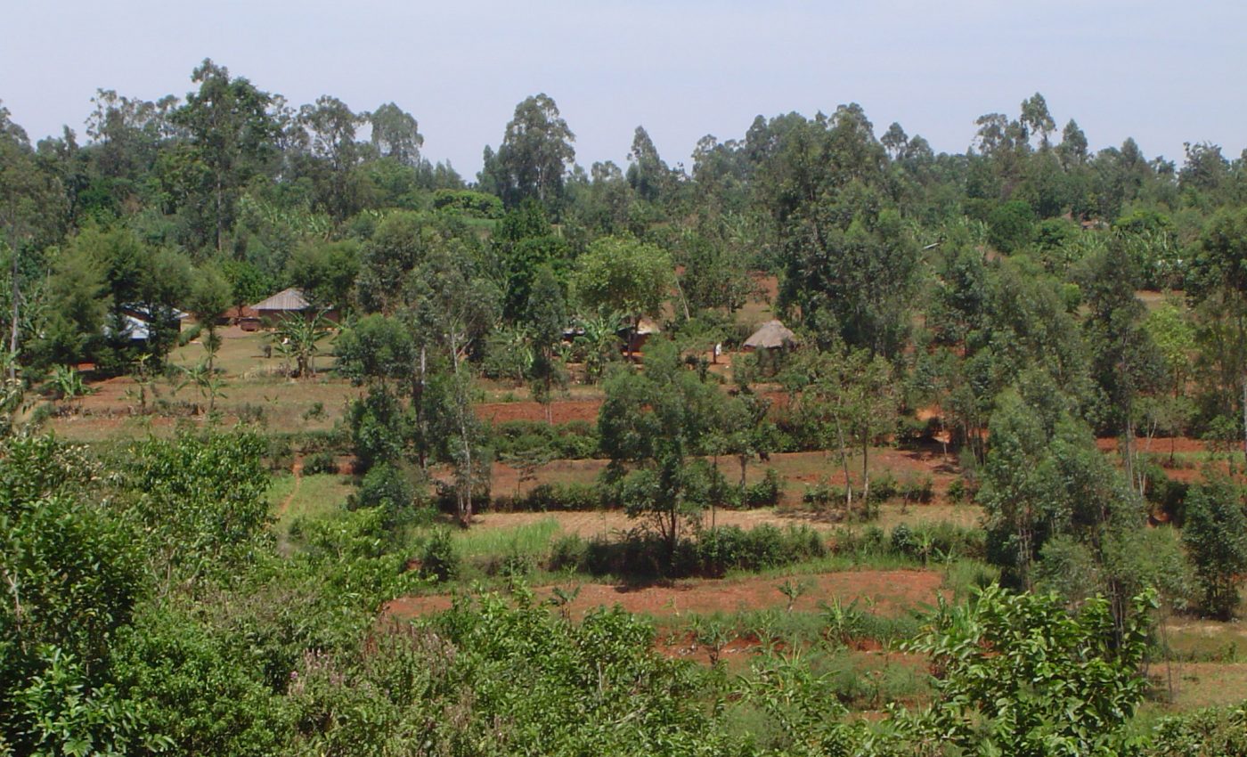 Satellite images help map economic living conditions, global poverty