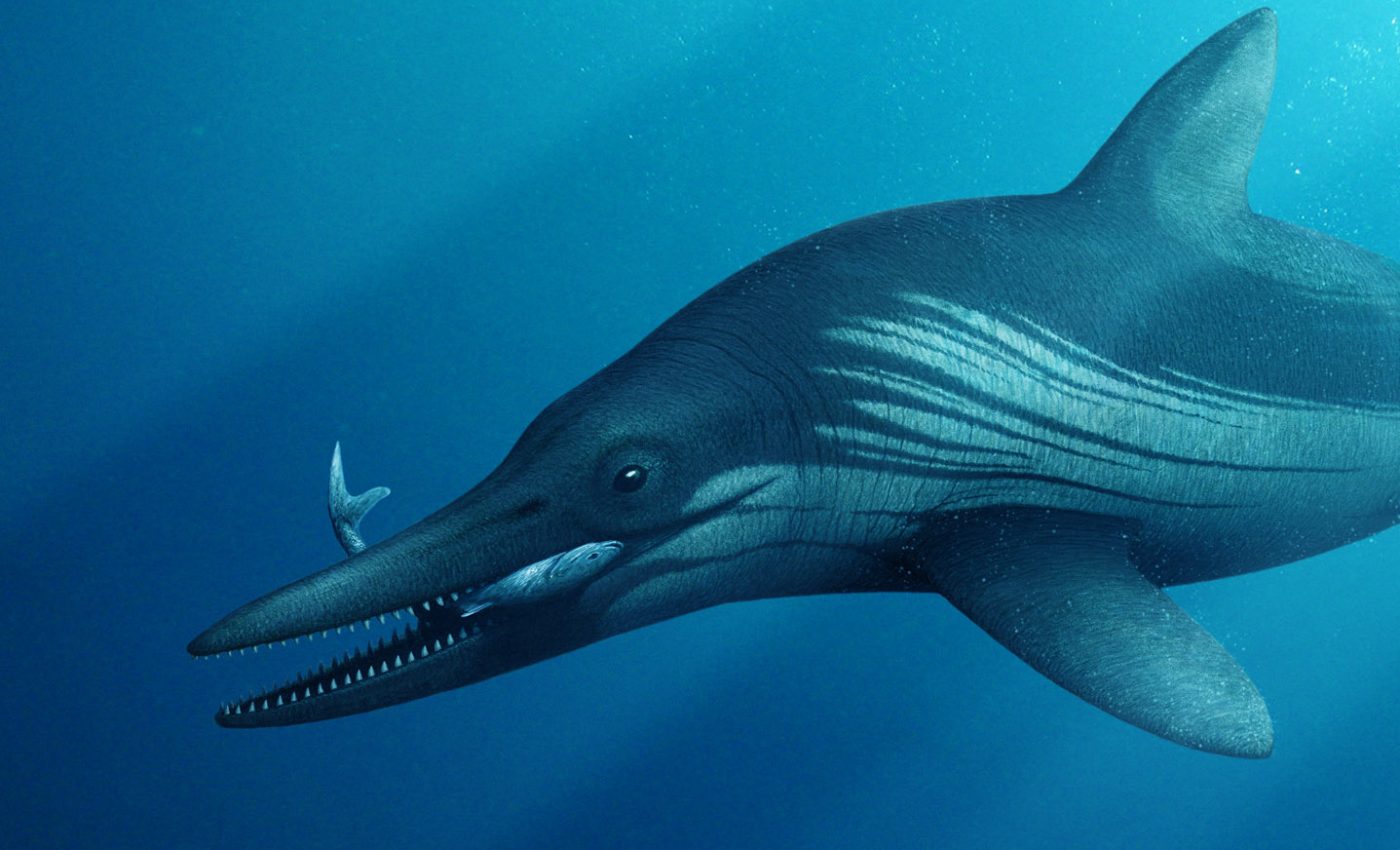Medical scans reveal secrets of a massive extinct marine reptile