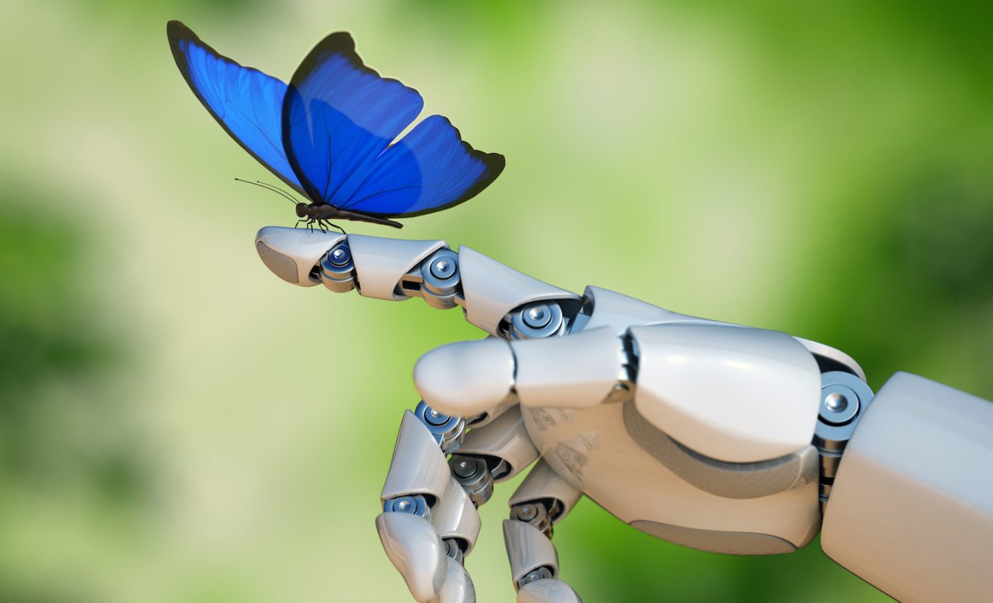 DARPA looking to build conscious robots modeled after insect brains