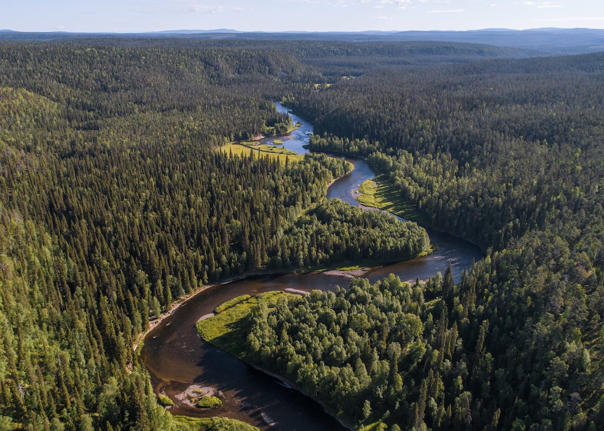 Water shortages will limit global forest growth as temperatures rise