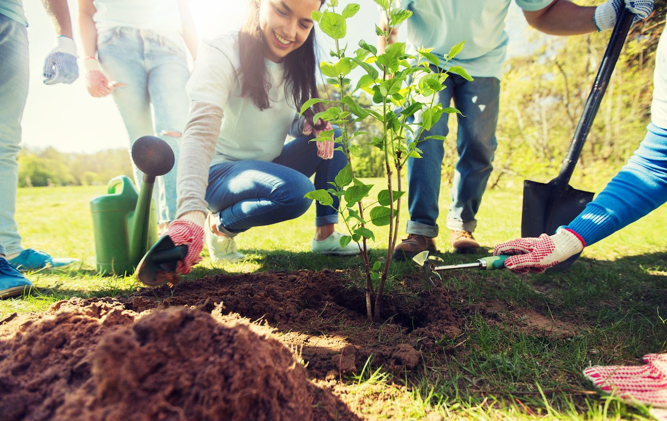 How thinking globally, but acting locally can make a difference