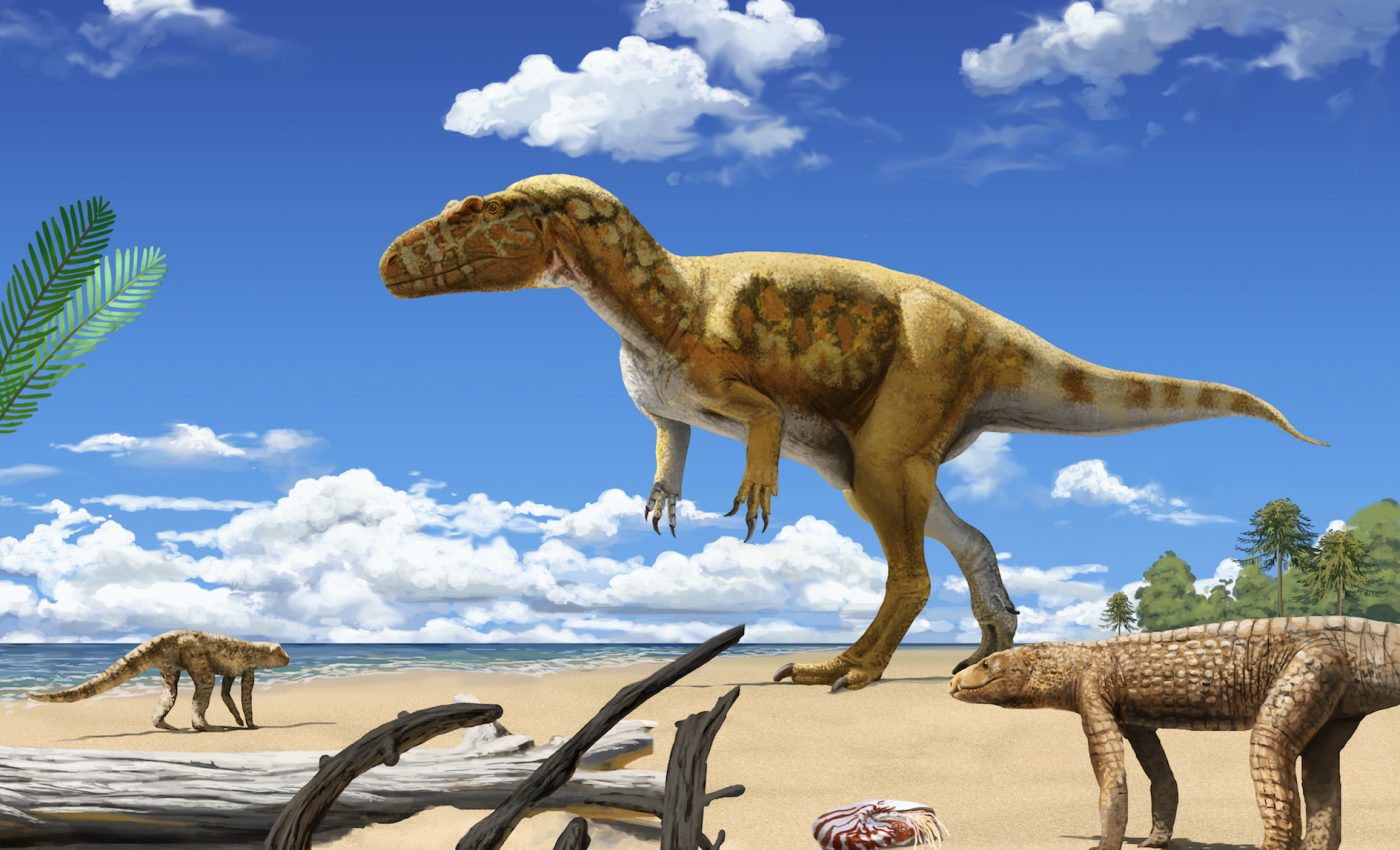 Meet the oldest large predatory dinosaur ever found