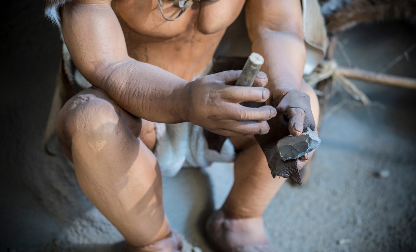 AI study discovers evidence of previously unknown human ancestor