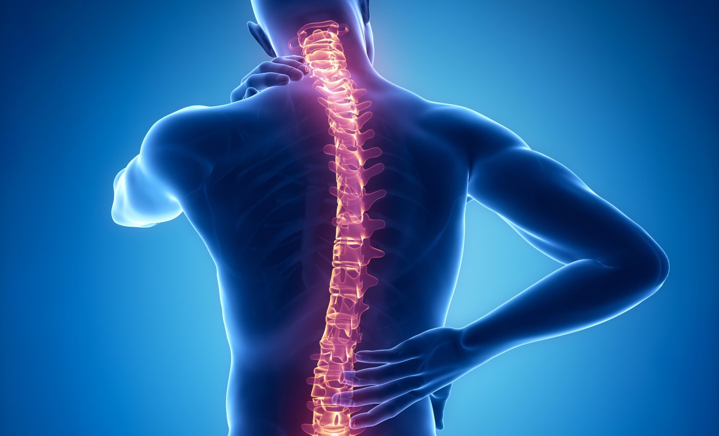 Your spinal cord can control complex motor functions
