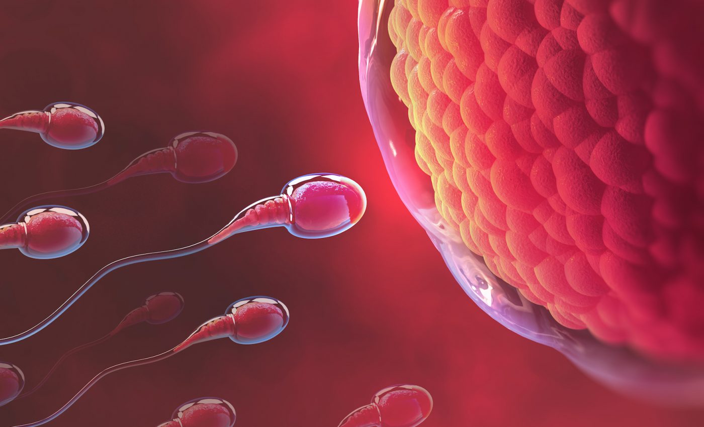 New research shows that older sperm created healthier offspring