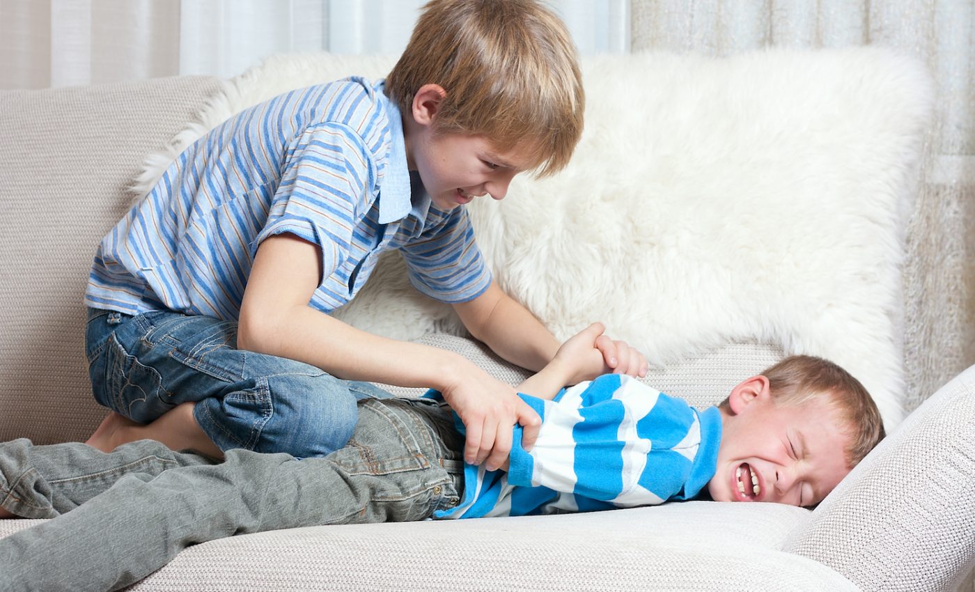 Sibling bullying is more prevalent in large families