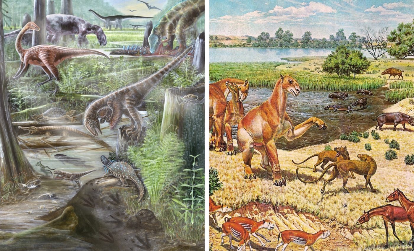 Diversity of land species has remained the same for 60 million years