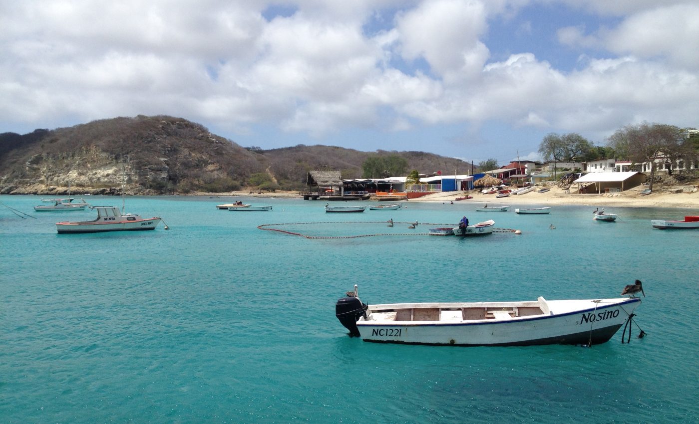 The economic impacts of coral bleaching across the Caribbean islands