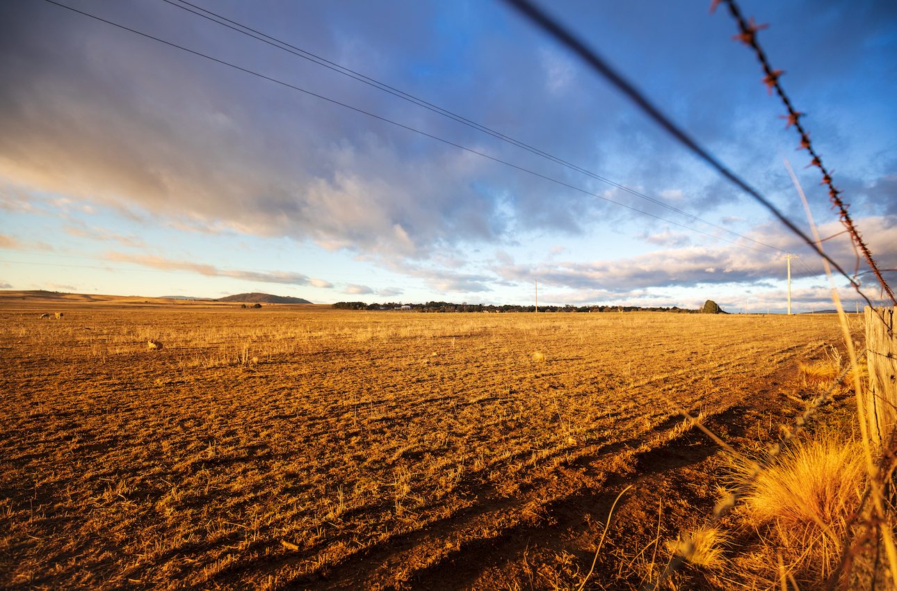 Australia battles drought: Livestock losses, no crops, and no rain