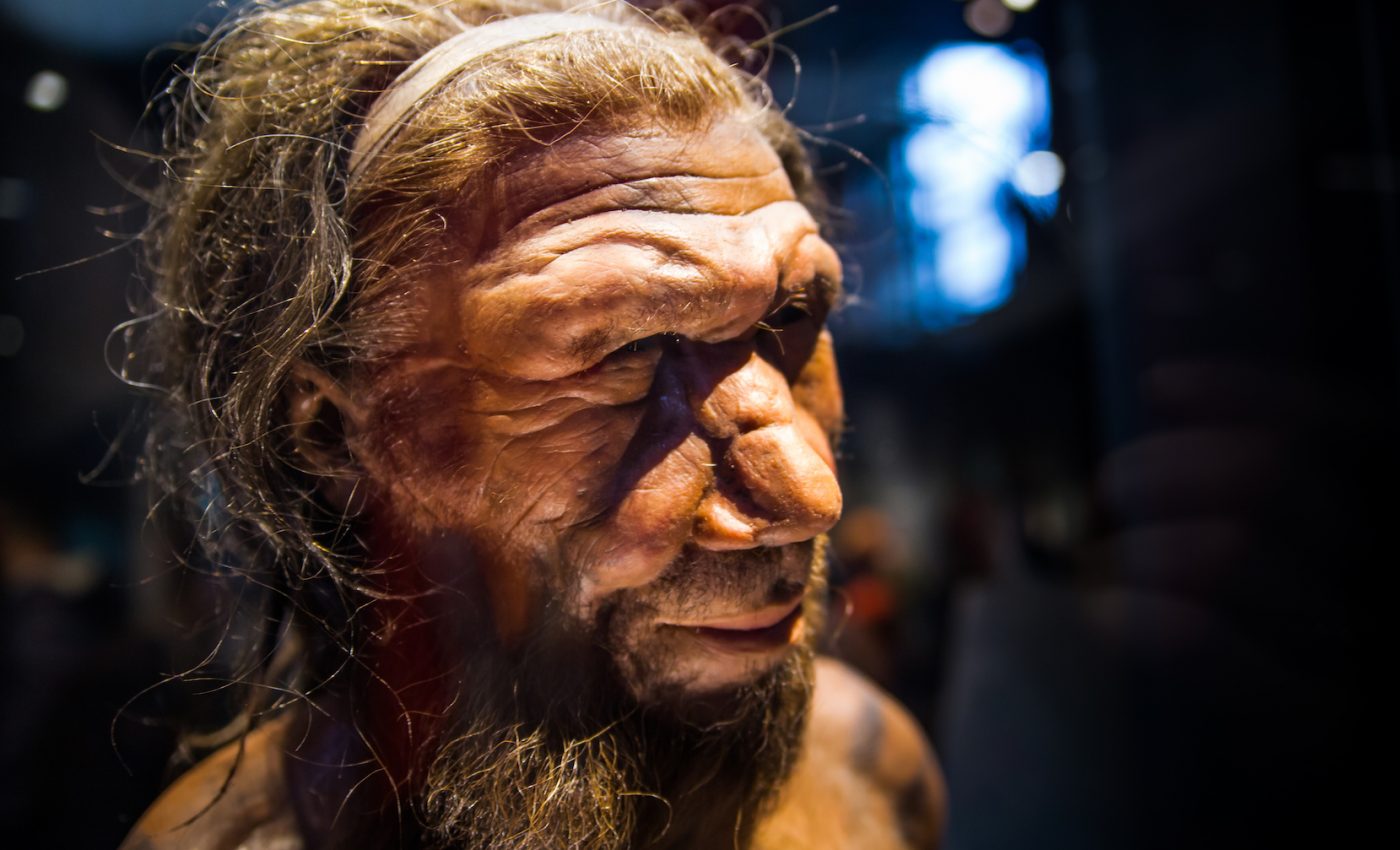 Neanderthals walked with the same upright posture as modern humans