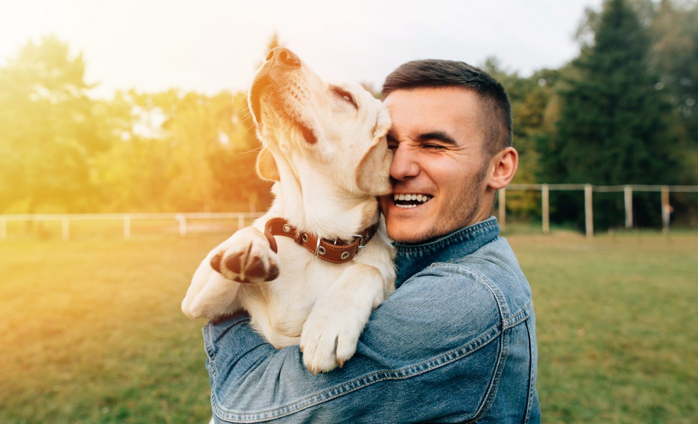 Dogs tend to adopt the same personality traits as their owners