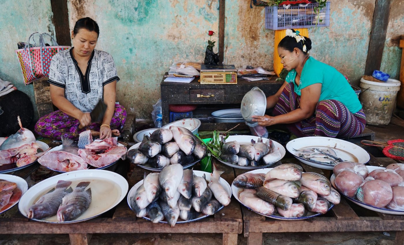 Fisheries could lose billions of dollars from global warming