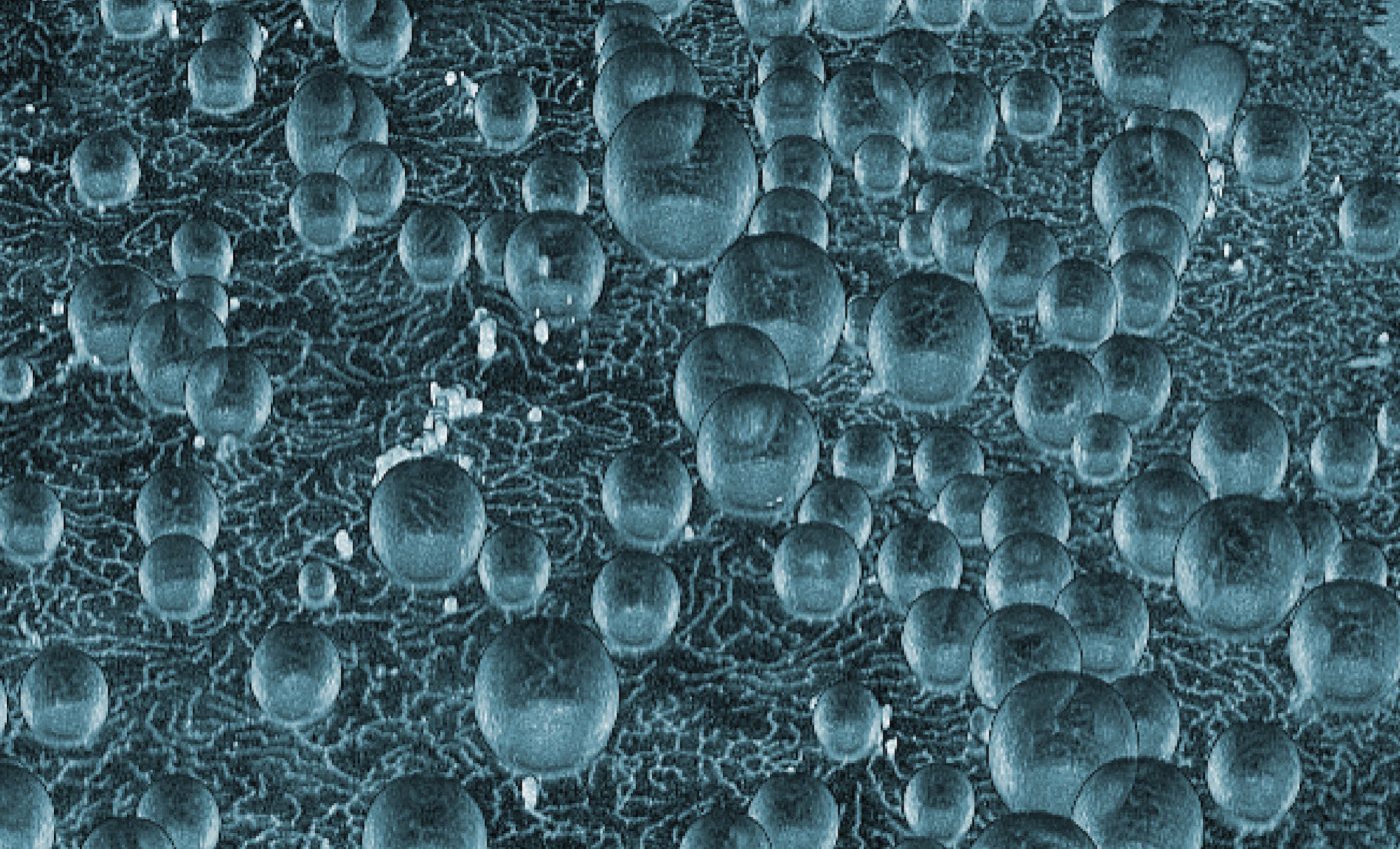 Scientists find new clues in the mystery of how life began on Earth