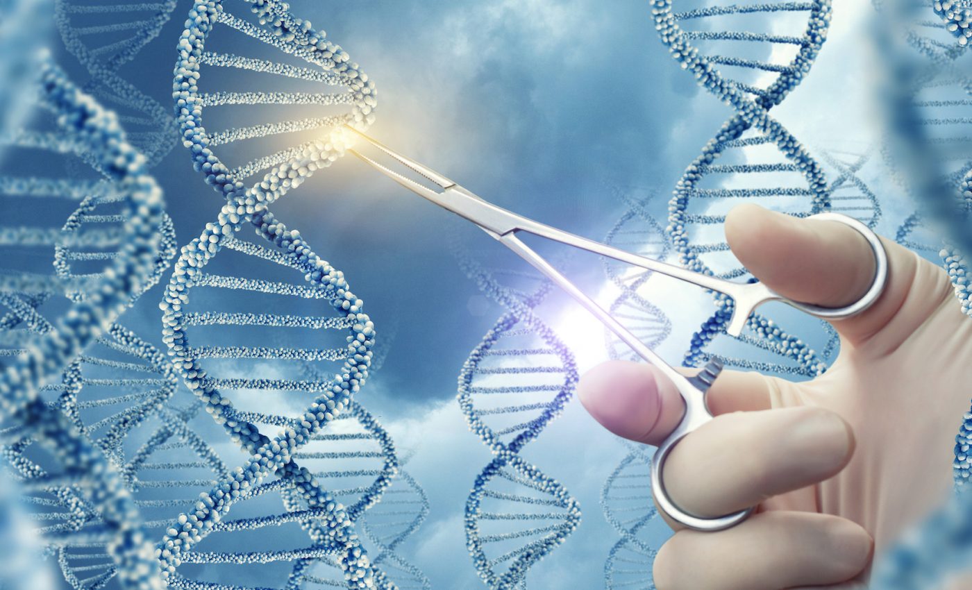 Shutting down certain genes may slow the aging process