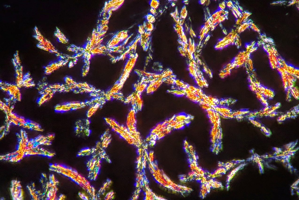 More evidence that psychedelic microdosing benefits mental health