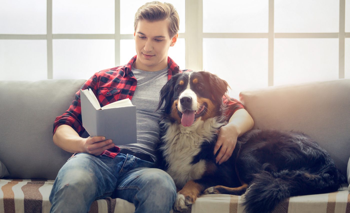 Home chemical pollutants harm fertility in both men and dogs