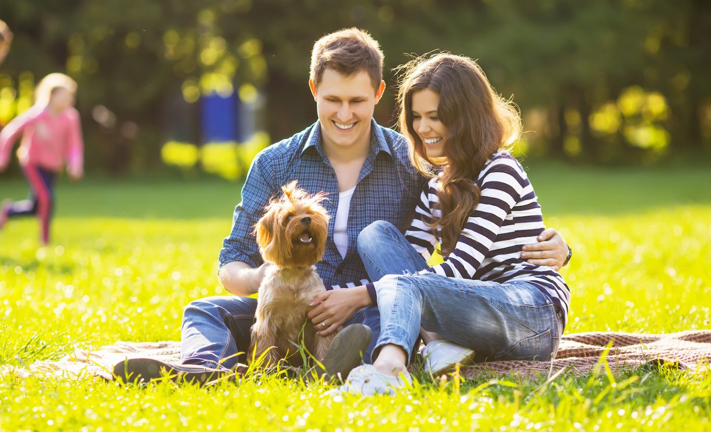 Just 20 minutes in a park improves mood and boosts happiness
