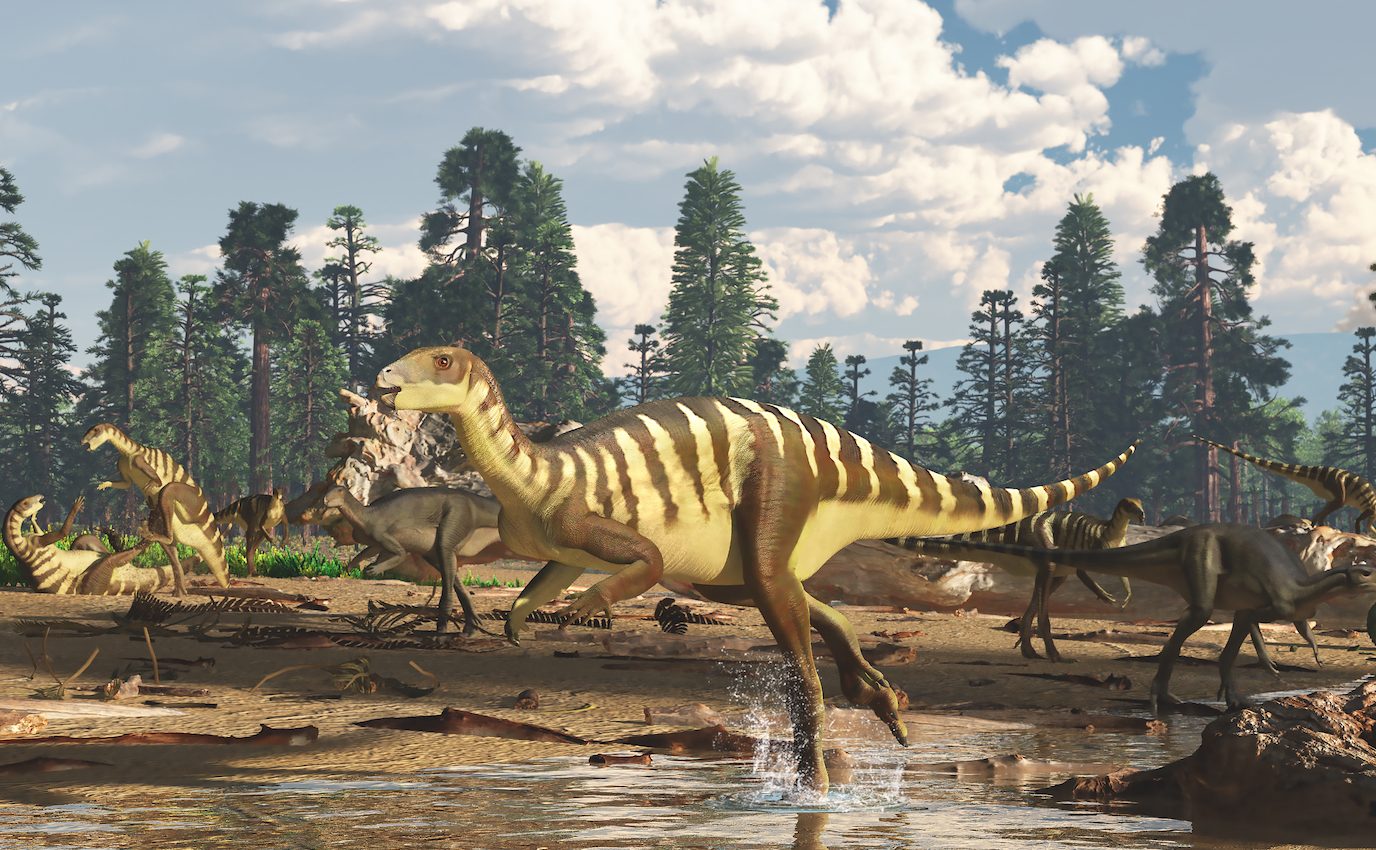 New small dinosaur species discovered in southeastern Australia