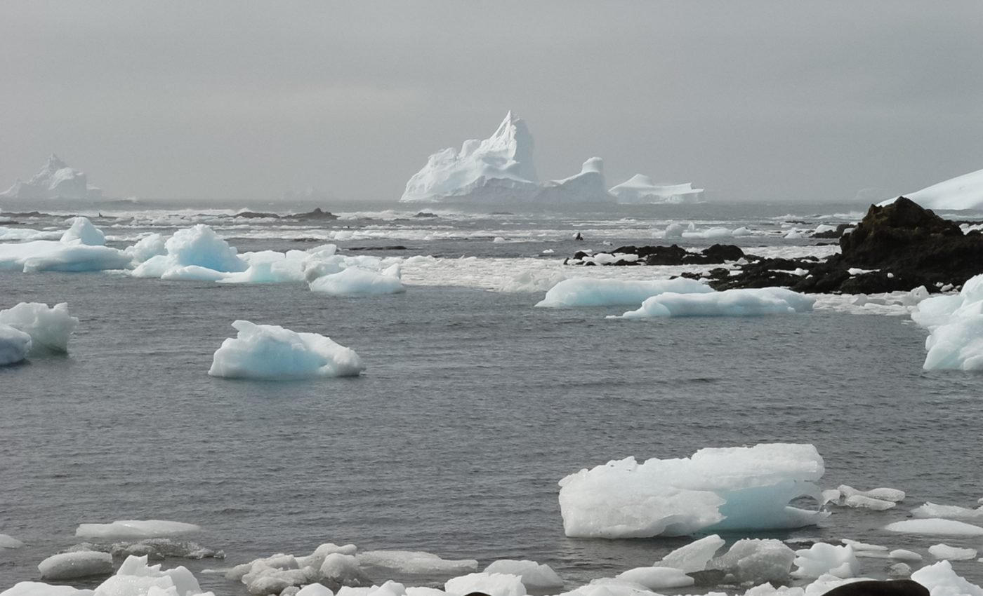 Rising CO2 levels will limit habitats for life in the Southern Ocean