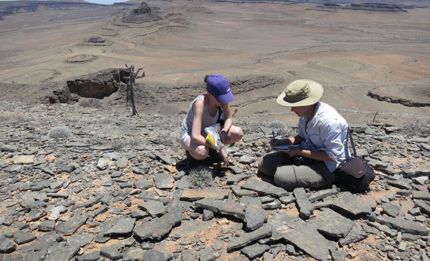 Researchers revamp evolution timeline due to recent discovery