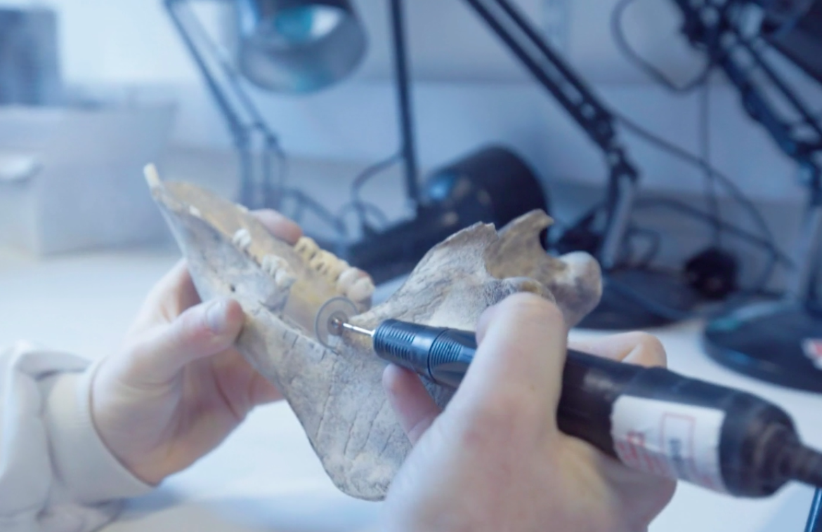 Evidence of prehistoric large-scale celebrations found near Stonehenge