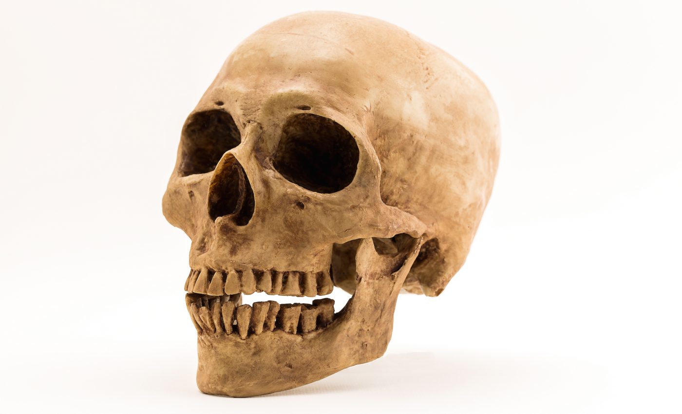 Changes in human diet led to the inclusion of 'f' and 'v' sounds