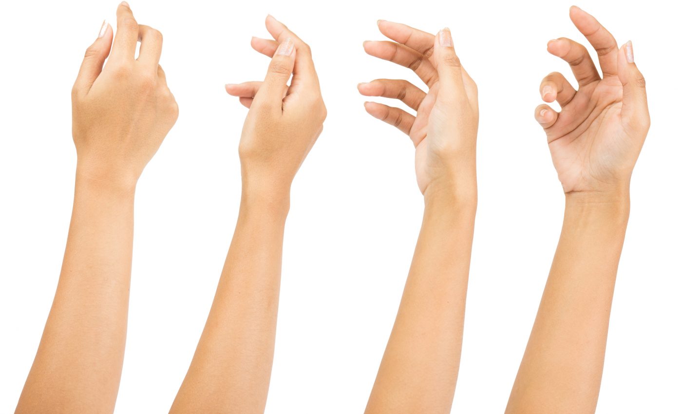 Mammals began to develop unique arms 270 million years ago