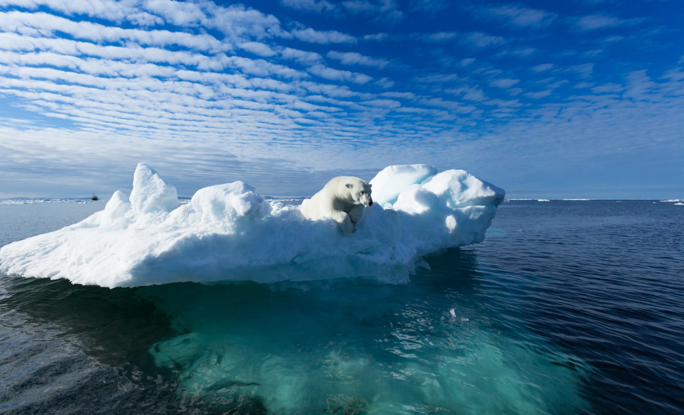 UN report warns that Arctic warming is now ‘locked in’