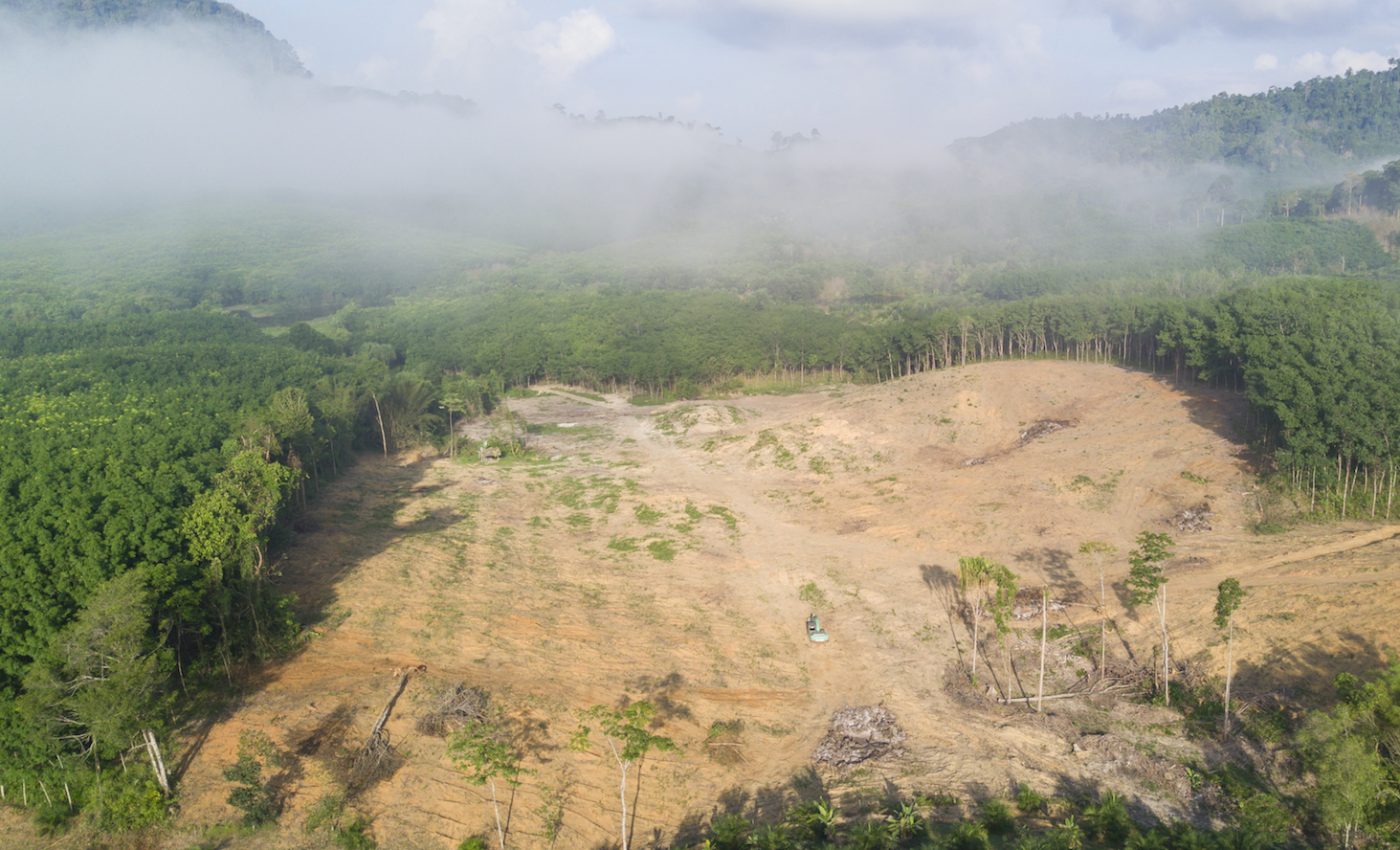 Deforestation in Brazil could increase local temperatures