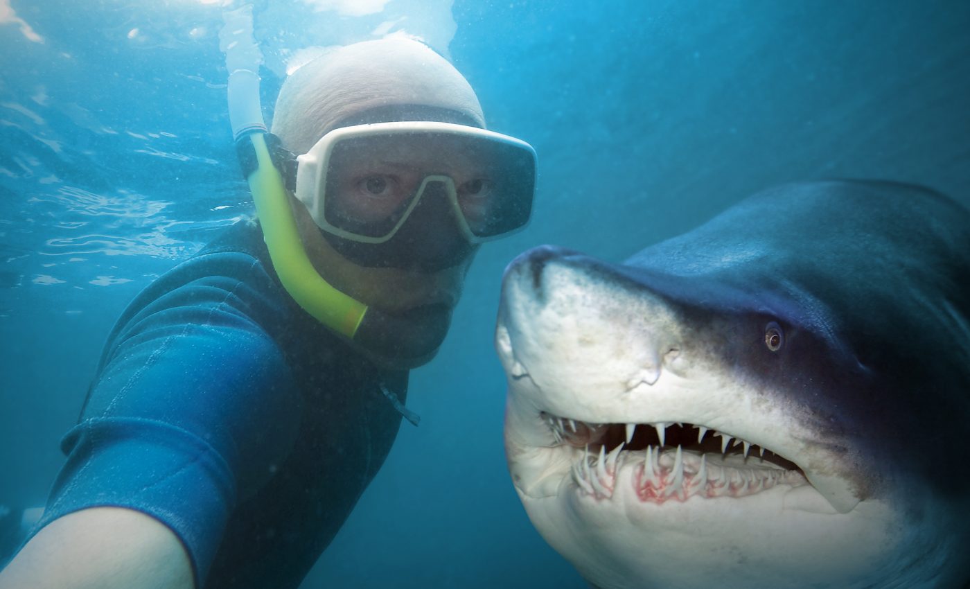 Dying for the perfect selfie: Animal attacks and social media