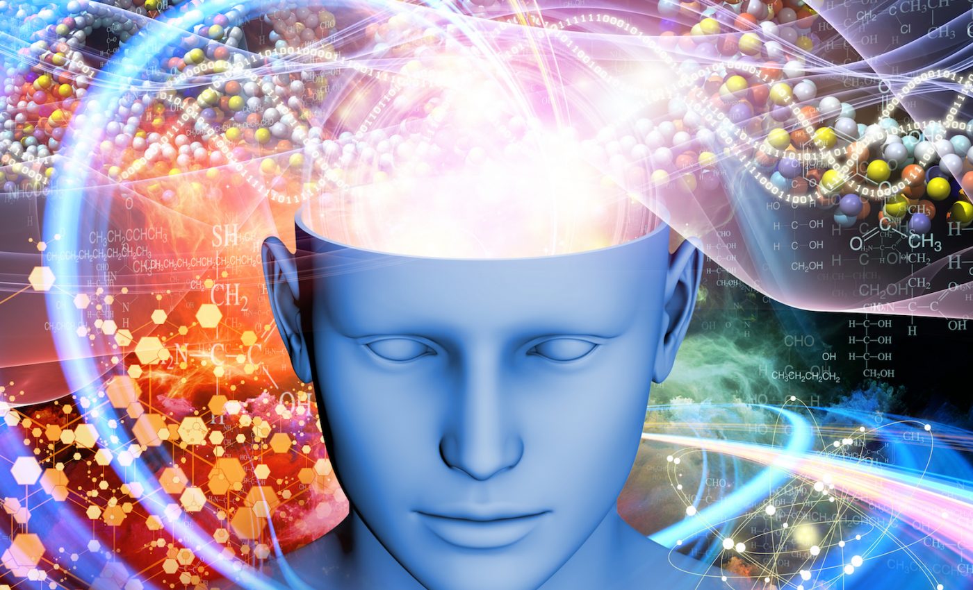 What’s going on in the brain during a hallucination?