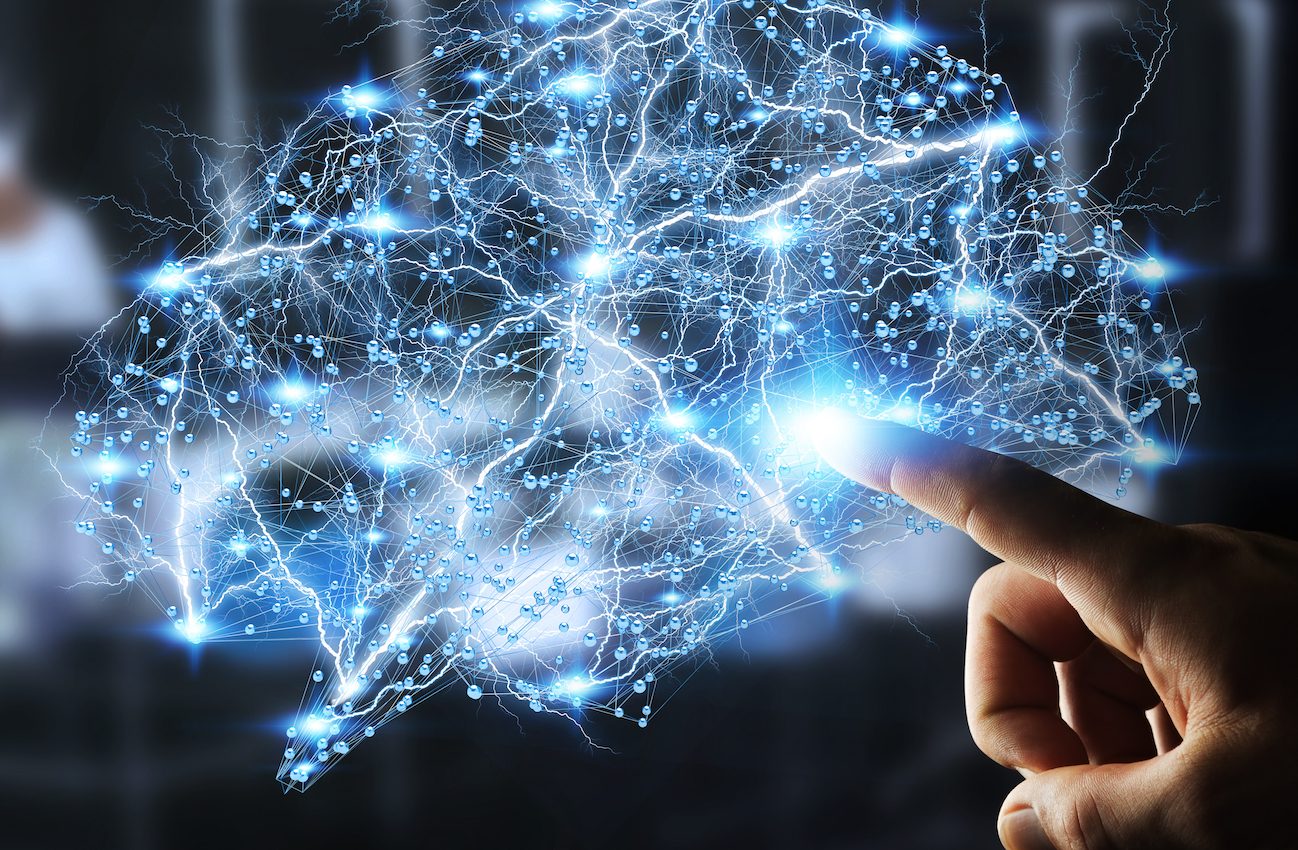 The brain’s spatial map may be influenced by where we receive rewards