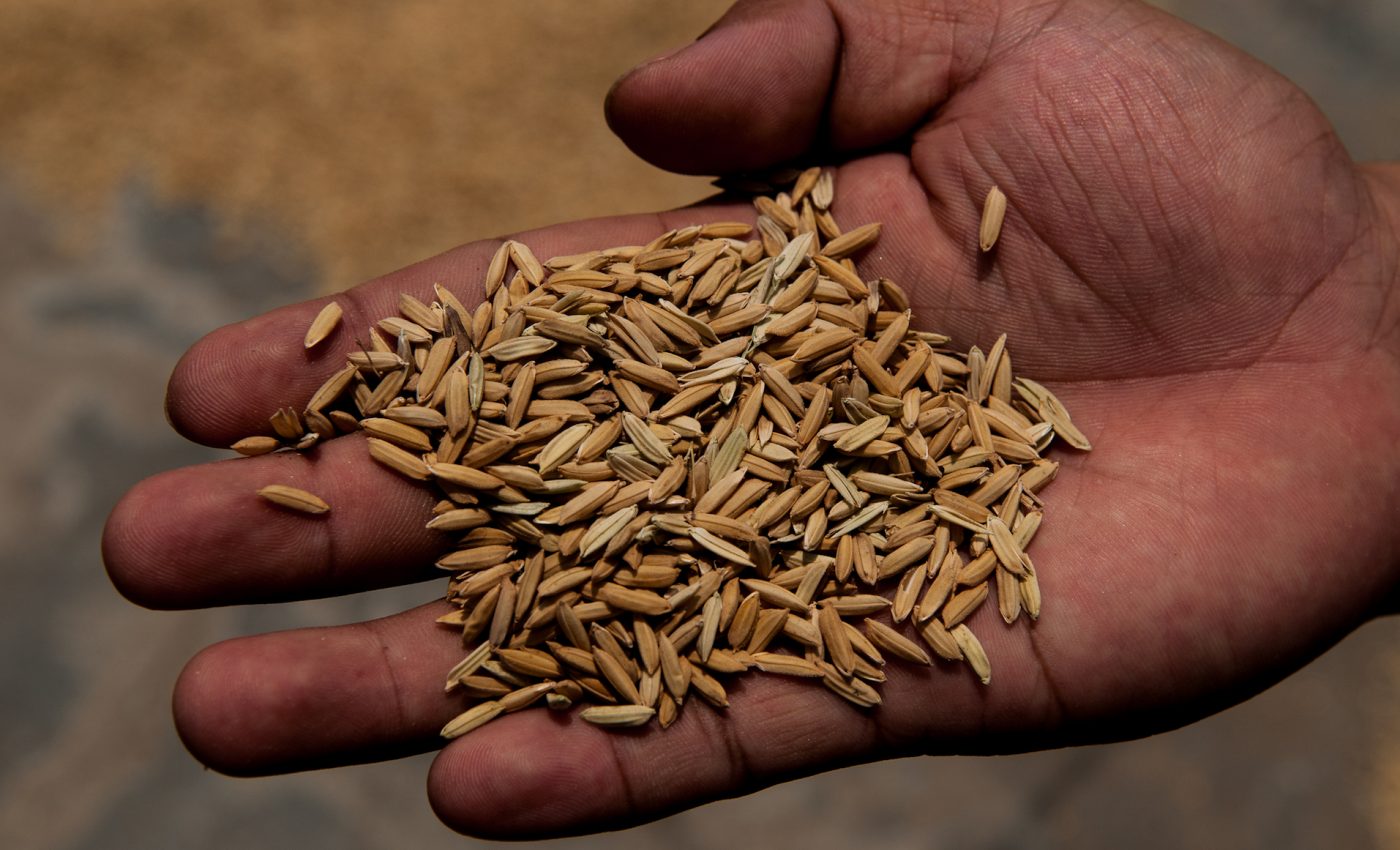 New tool measures how vulnerable farming regions are to climate change