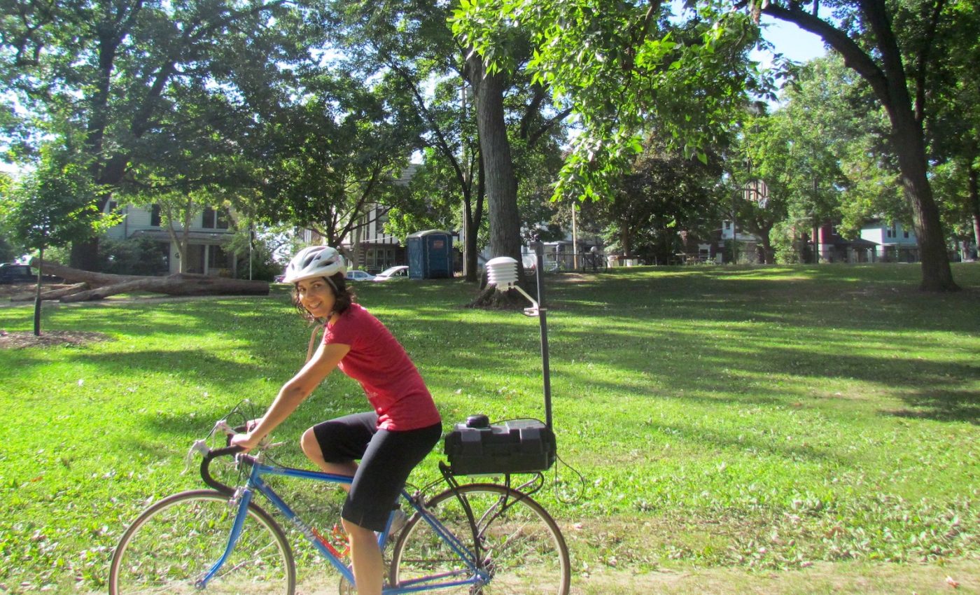 Tree cover can help cool the urban heat island effect in the summer